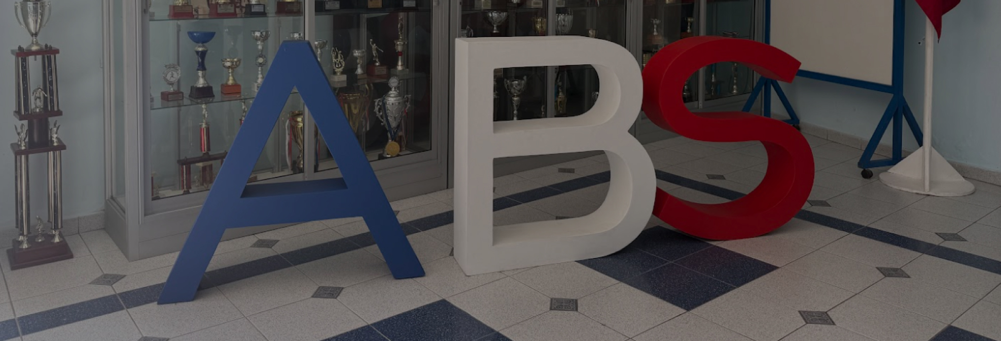 Image Alt
